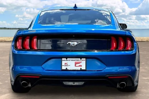More photos of 2020 Ford Mustang EcoBoost at Gravity Autos Jacksonville, FL
