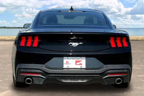 More photos of 2024 Ford Mustang EcoBoost at Gravity Autos Jacksonville, FL
