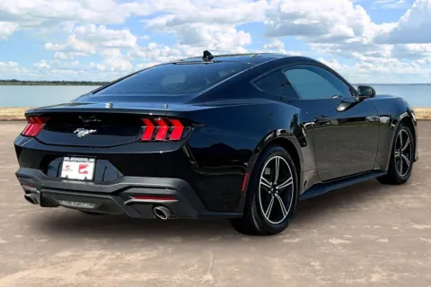 More photos of 2024 Ford Mustang EcoBoost at Gravity Autos Jacksonville, FL