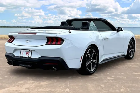 More photos of 2024 Ford Mustang EcoBoost Premium at Gravity Autos Jacksonville, FL