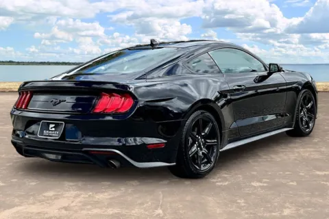 More photos of 2020 Ford Mustang EcoBoost at Gravity Autos Jacksonville, FL