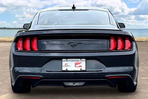 More photos of 2023 Ford Mustang EcoBoost at Gravity Autos Jacksonville, FL