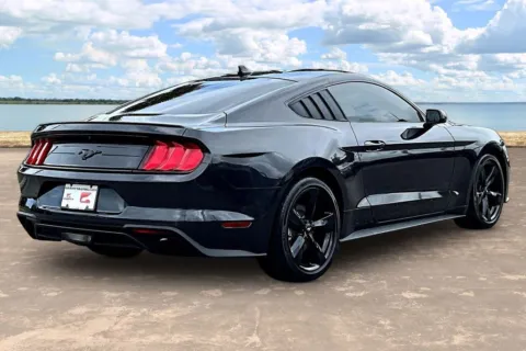 More photos of 2023 Ford Mustang EcoBoost at Gravity Autos Jacksonville, FL