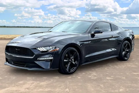 Gray 2023 Ford Mustang EcoBoost for sale in Jacksonville, FL