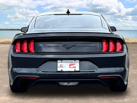 More photos of 2023 Ford Mustang EcoBoost at Gravity Autos Jacksonville, FL