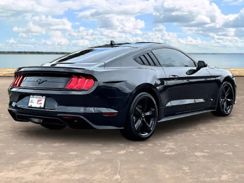 More photos of 2023 Ford Mustang EcoBoost at Gravity Autos Jacksonville, FL