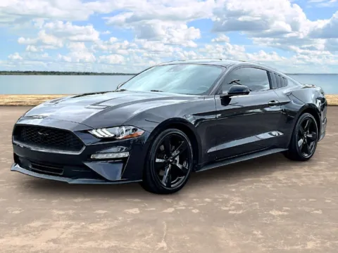 Gray 2023 Ford Mustang EcoBoost for sale in Jacksonville, FL