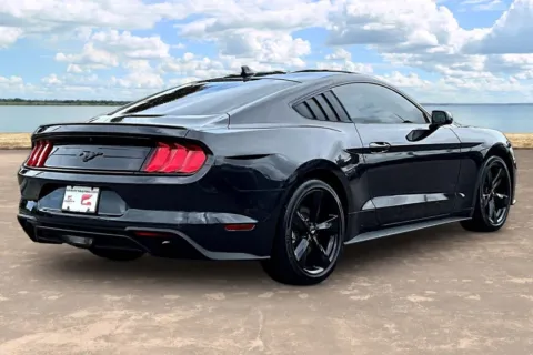 More photos of 2023 Ford Mustang EcoBoost at Gravity Autos Jacksonville, FL