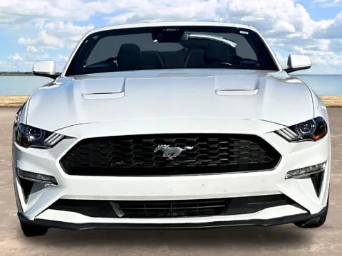 Photos of 2022 Ford Mustang EcoBoost for sale in Jacksonville, FL at Gravity Autos Jacksonville
