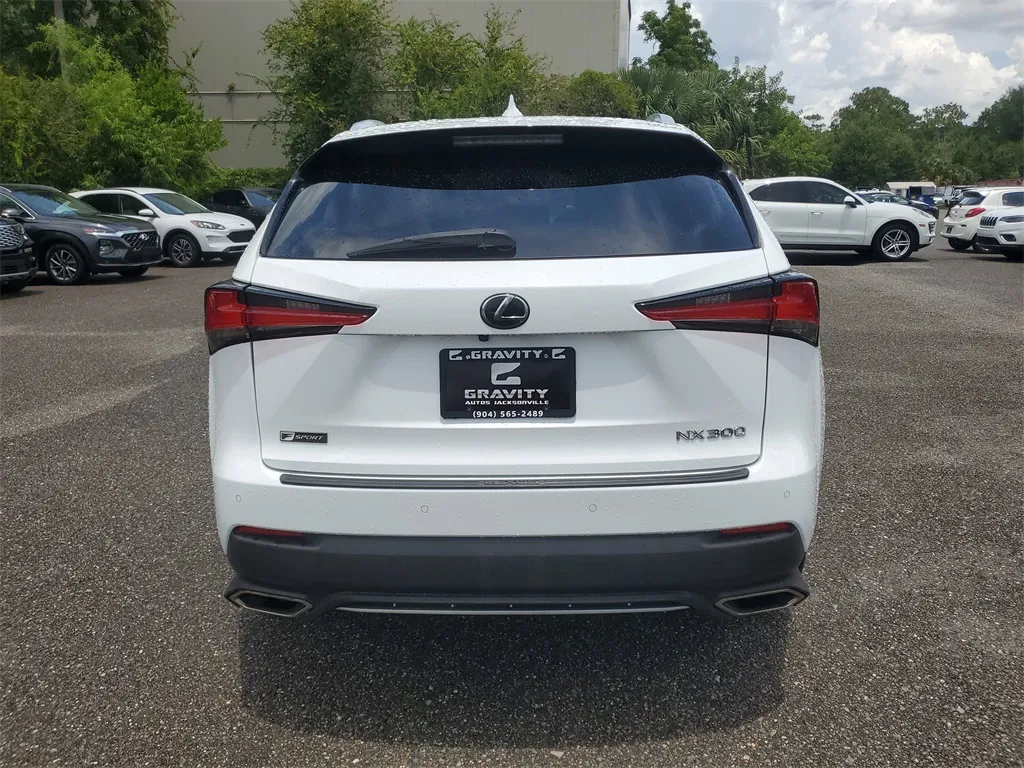 2019 Lexus NX 300 Luxury photo 2