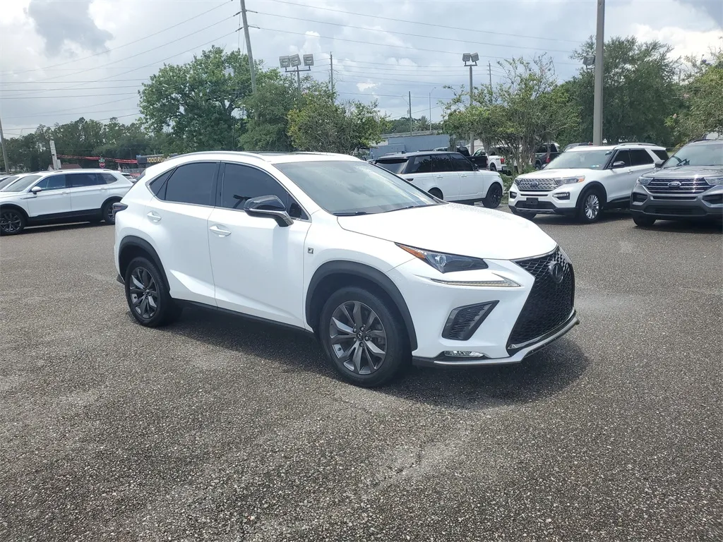 2019 Lexus NX 300 Luxury photo 3