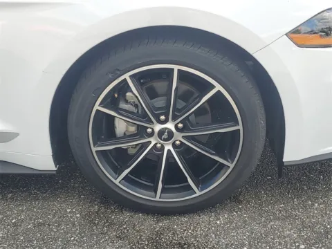 More photos of 2020 Ford Mustang EcoBoost at Gravity Autos Jacksonville, FL