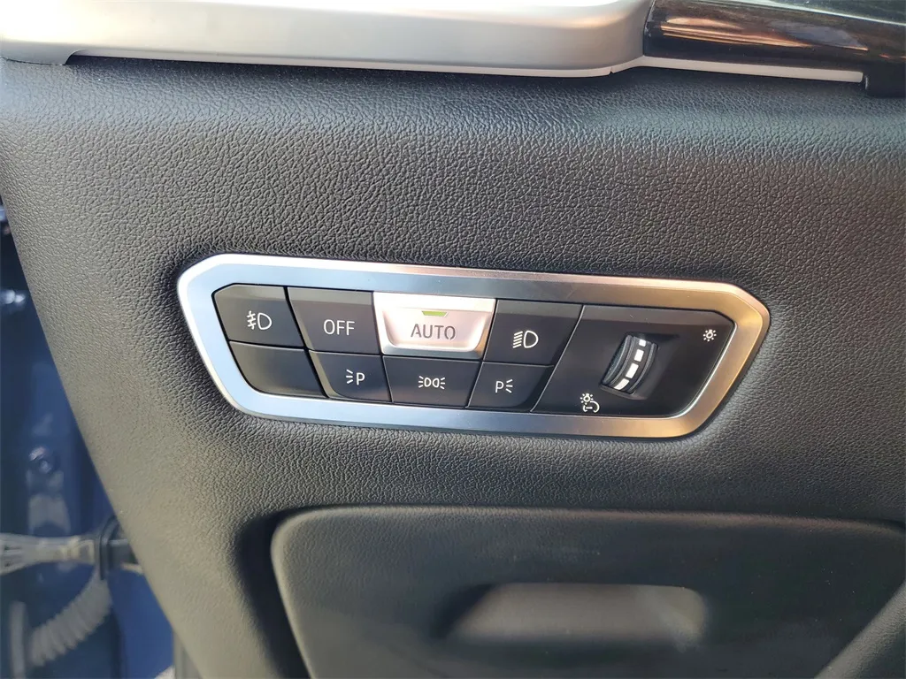 2019 Bmw X5 xDrive40i photo 4