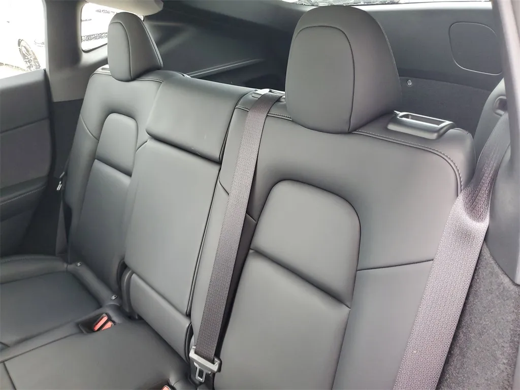 2024 Tesla Model Y photo 3