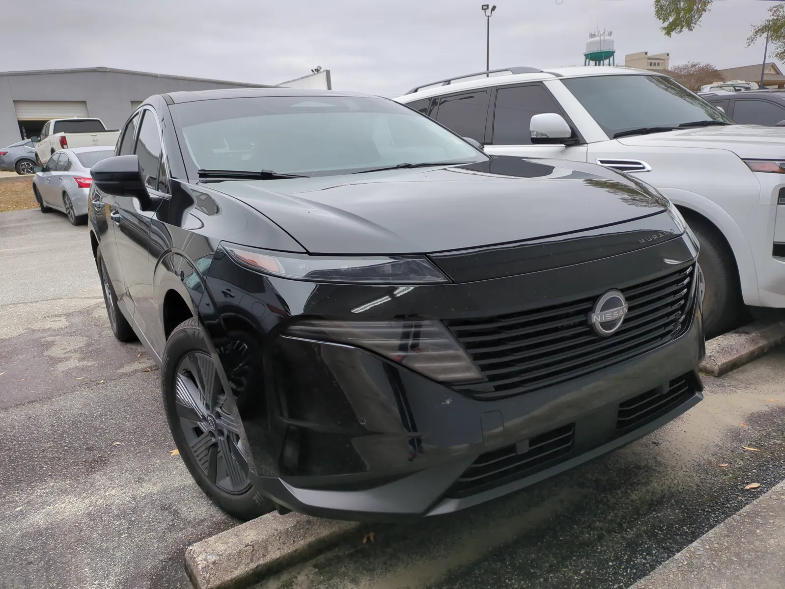 2025 Nissan Murano SL's photo