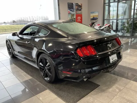 More photos of 2015 Ford Mustang EcoBoost at Jay Wolfe Toyota, MO