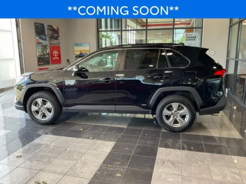 More photos of 2025 Toyota RAV4 Hybrid XLE at Jay Wolfe Toyota, MO
