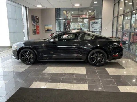 More photos of 2015 Ford Mustang EcoBoost at Jay Wolfe Toyota, MO