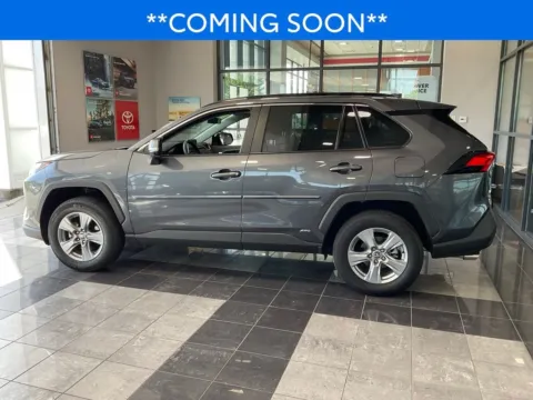 More photos of 2025 Toyota RAV4 Hybrid LE at Jay Wolfe Toyota, MO