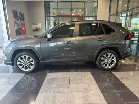 More photos of 2025 Toyota RAV4 XLE Premium at Jay Wolfe Toyota, MO