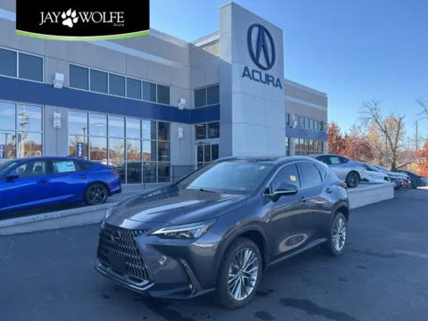 Gray 2023 Lexus NX 350 Premium for sale in Kansas City, MO