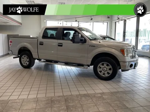 Silver 2012 Ford F-150 XLT for sale in Kansas City, MO
