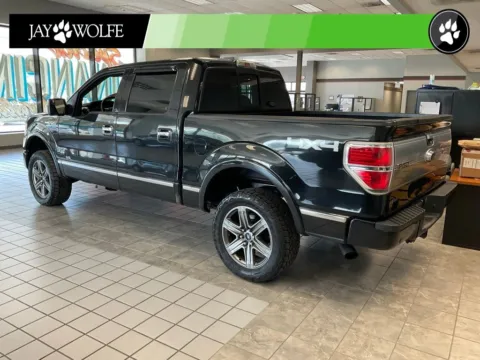 More photos of 2014 Ford F-150 Platinum at Jay Wolfe Auto Outlet, MO