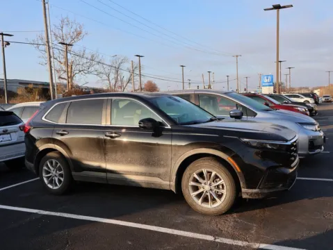 More photos of 2024 Honda CR-V EX-L at Jay Wolfe Honda, MO