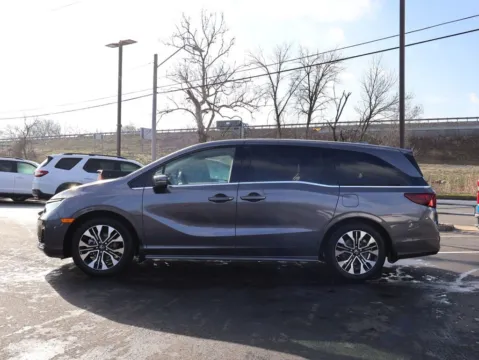 More photos of 2026 Honda Odyssey Elite at Jay Wolfe Honda, MO