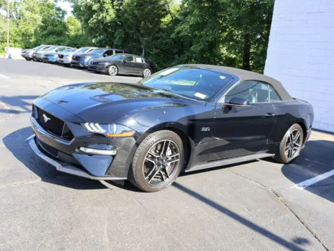 More photos of 2019 Ford Mustang GT Premium at Jay Wolfe Honda, MO