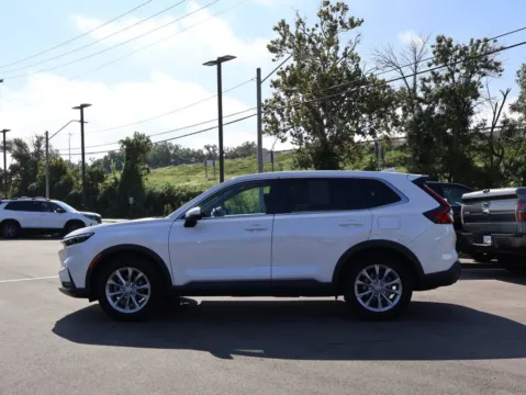 More photos of 2024 Honda CR-V EX at Jay Wolfe Honda, MO