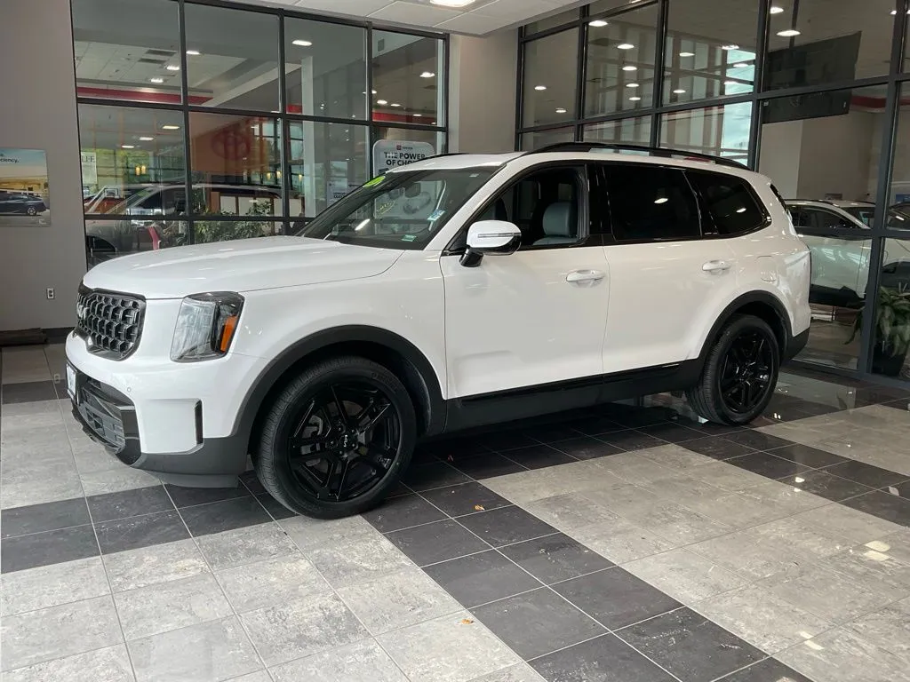 Kia Telluride photo 3