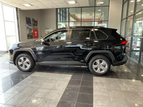 More photos of 2025 Toyota RAV4 Hybrid XLE at Jay Wolfe Toyota, MO