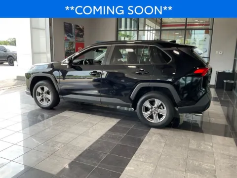 More photos of 2024 Toyota RAV4 XLE at Jay Wolfe Toyota, MO