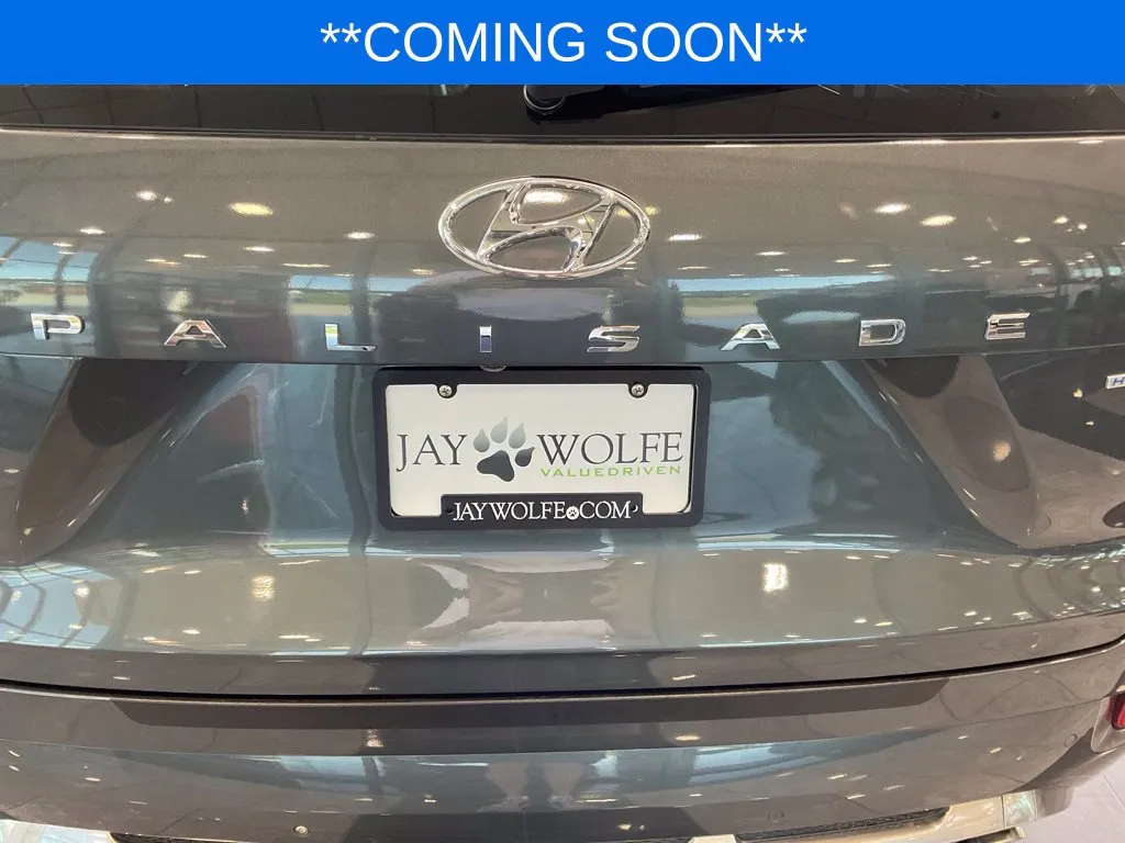 Hyundai Palisade photo 27