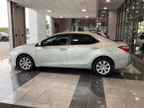 More photos of 2019 Toyota Corolla LE at Jay Wolfe Toyota, MO