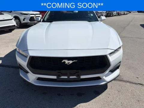 Photos of 2024 Ford Mustang EcoBoost Premium for sale in Kansas City, MO at Jay Wolfe Toyota