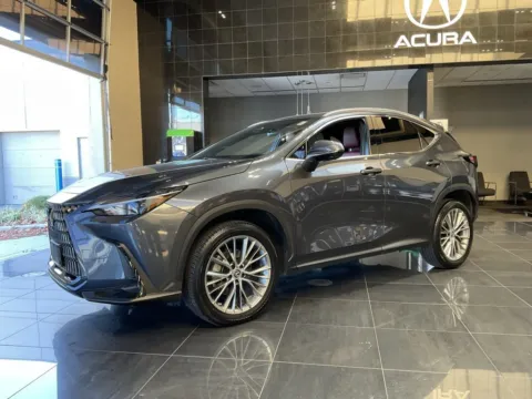 More photos of 2023 Lexus NX 350 Premium at Jay Wolfe Acura, MO