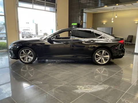 More photos of 2021 Acura TLX w/Advance Package at Jay Wolfe Acura, MO