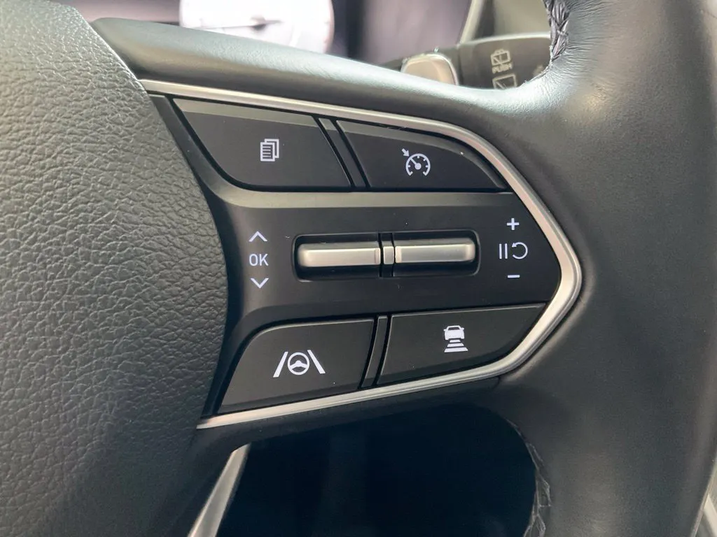 Hyundai Santa Fe photo 14