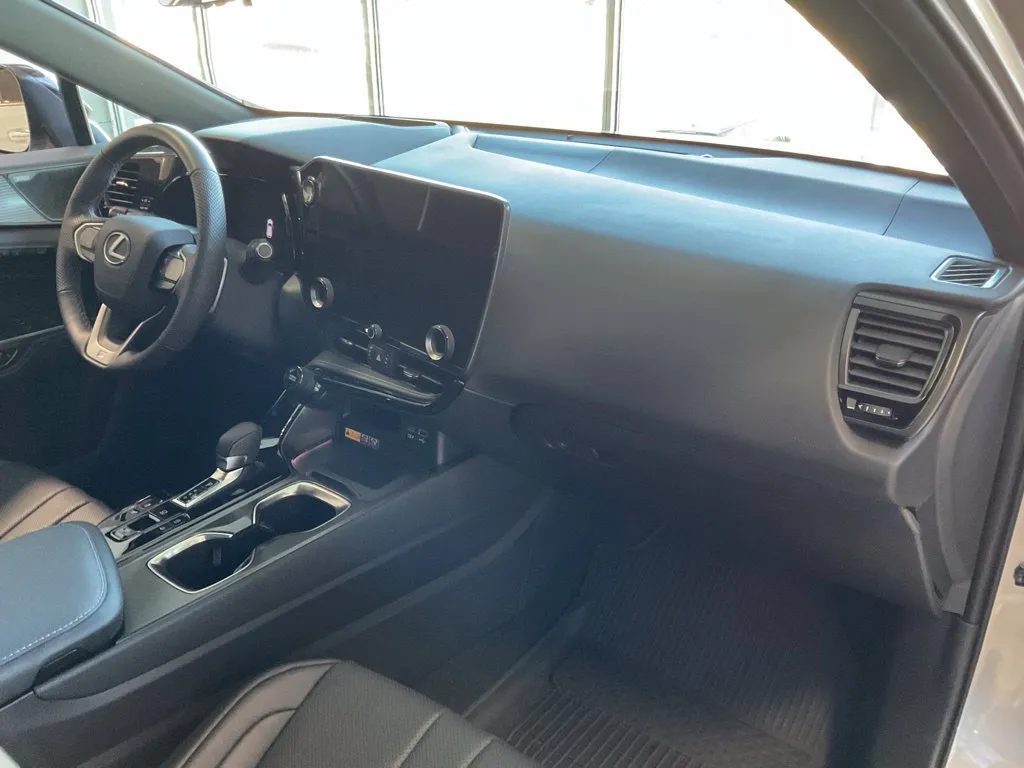 Lexus NX photo 20