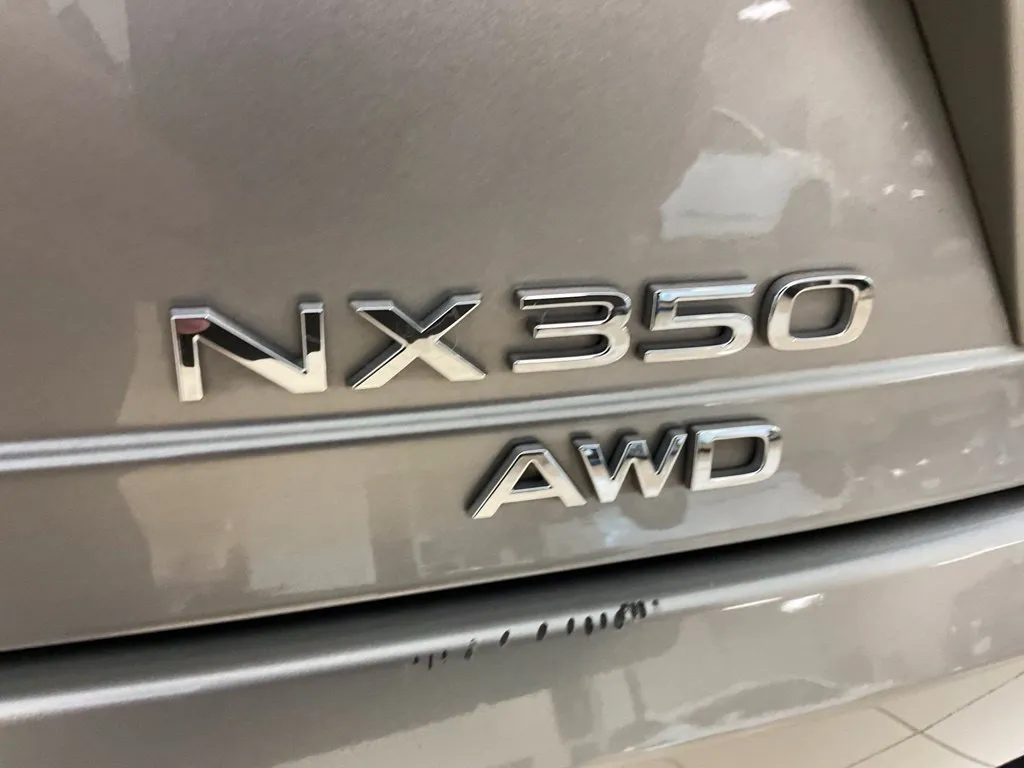 Lexus NX photo 25