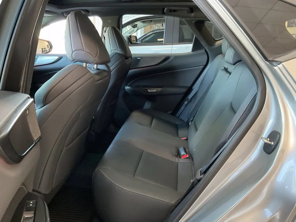Lexus NX photo 23