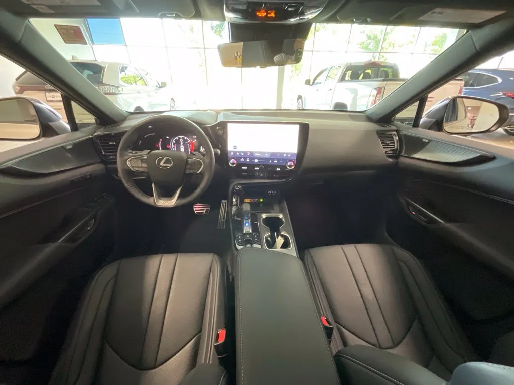 Lexus NX photo 9