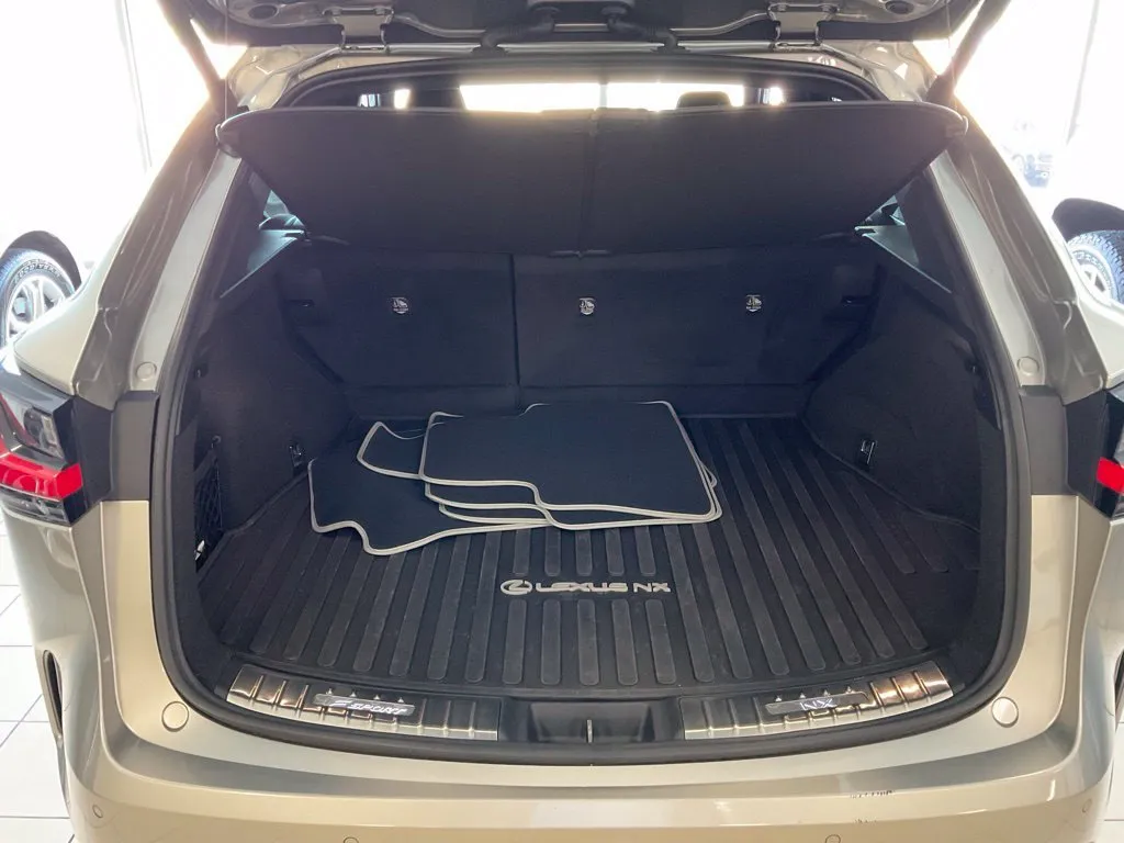 Lexus NX photo 24