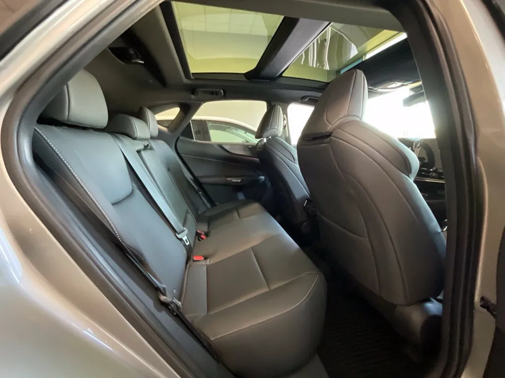 Lexus NX photo 22