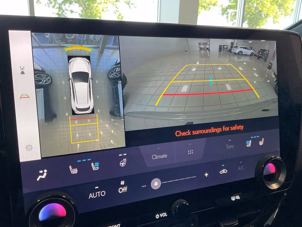 Lexus NX photo 18