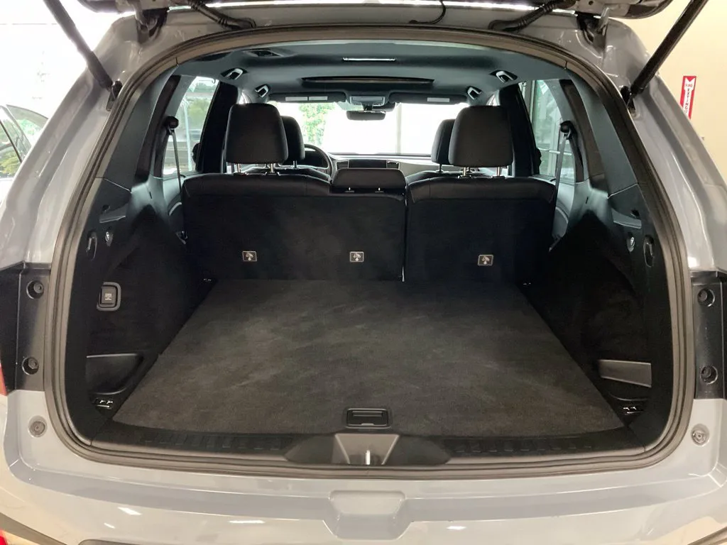 Honda Passport photo 24