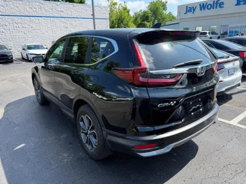 More photos of 2020 Honda CR-V EX-L at Jay Wolfe Honda, MO