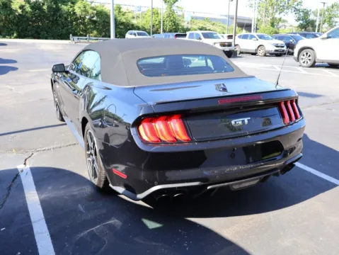 More photos of 2019 Ford Mustang GT Premium at Jay Wolfe Honda, MO